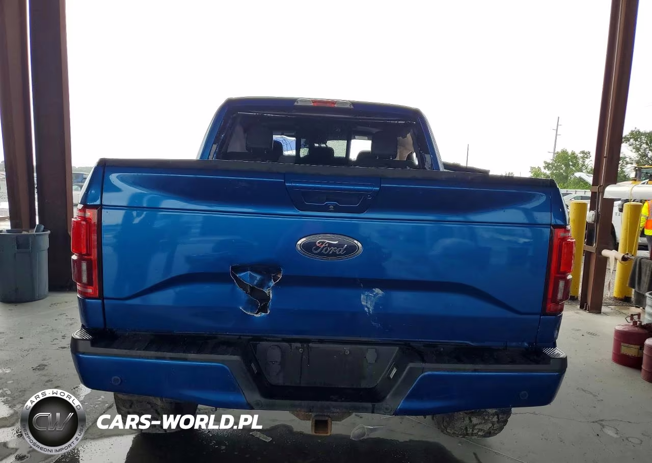 2016 Ford F150 Supercrew VIN:1FTEW1EP5GFB82169 - 6