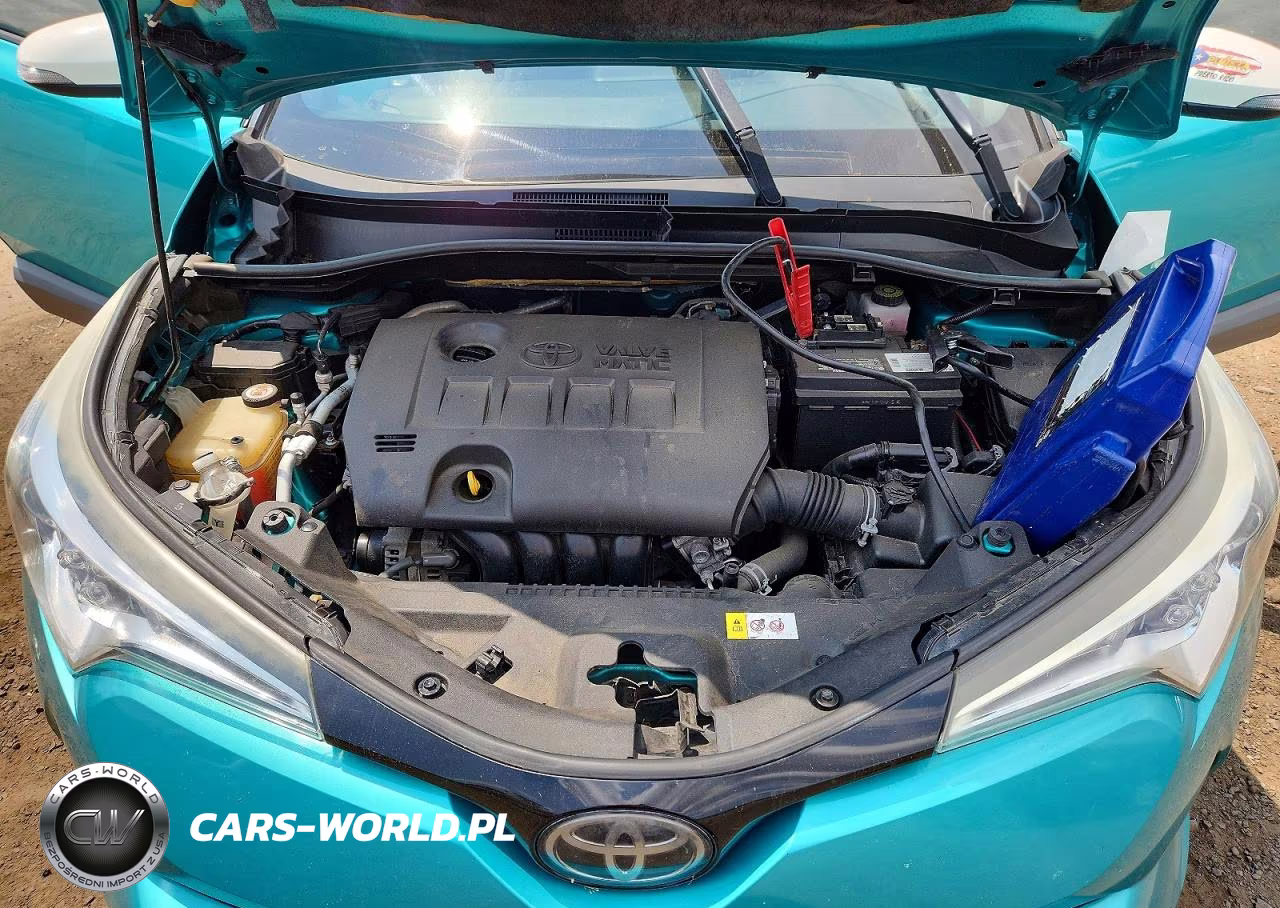 2018 Toyota C-Hr Xle Premium VIN:JTNKHMBX7J1010700 - 11