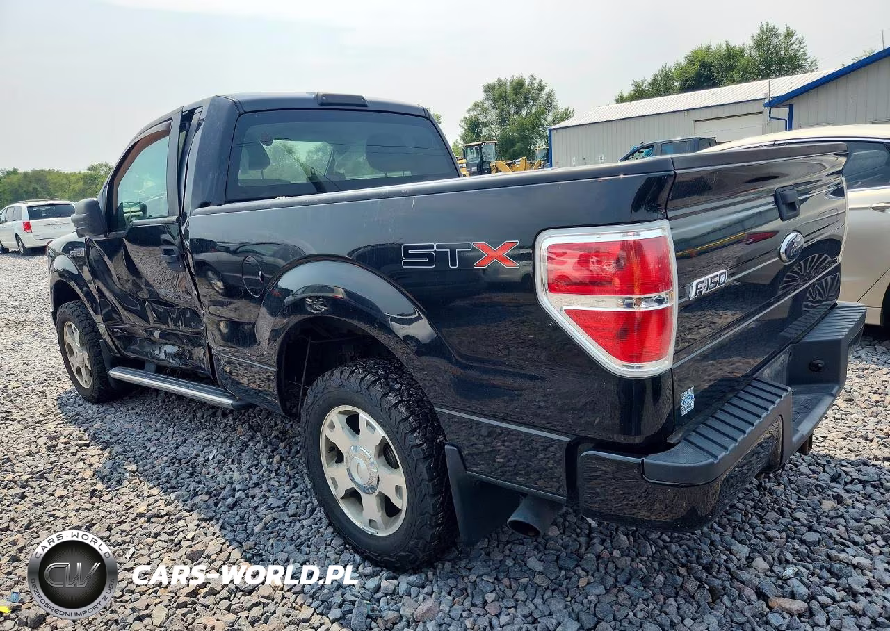 2010 Ford F150 VIN:1FTMF1CW3AFC46920 - 2