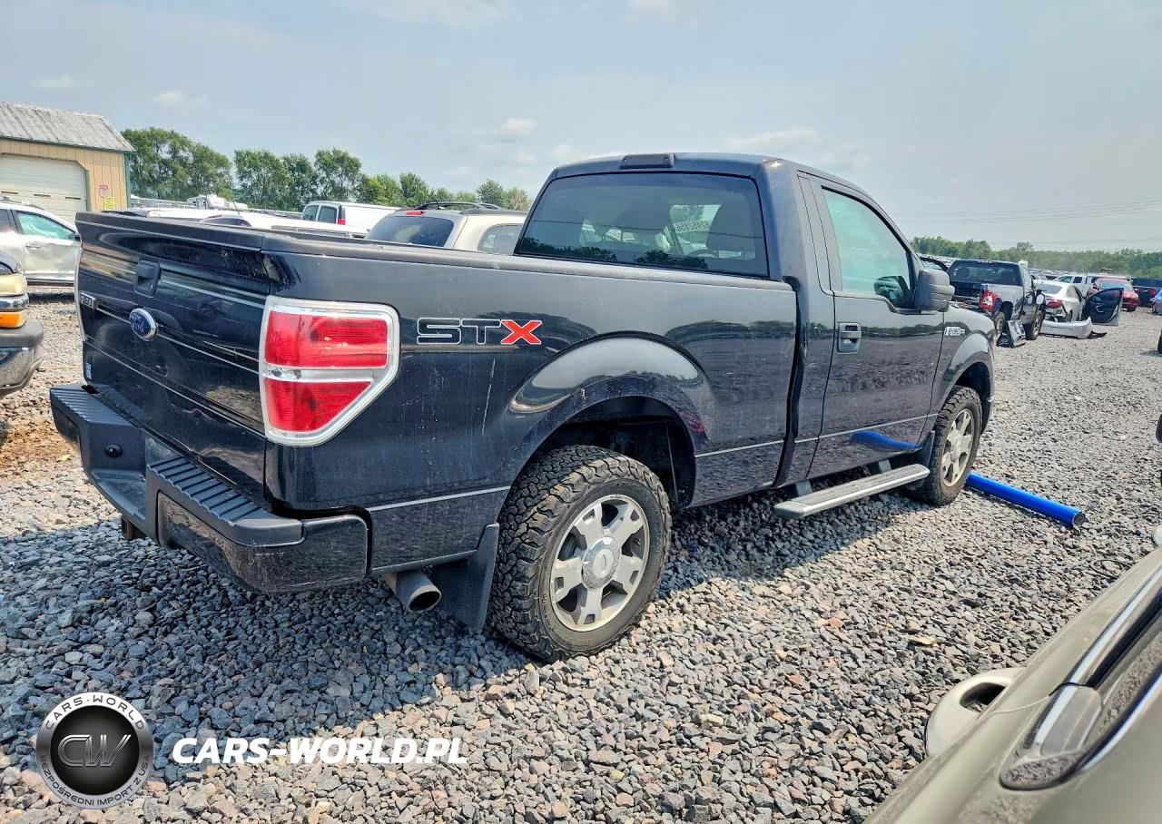 2010 Ford F150 VIN:1FTMF1CW3AFC46920 - 3