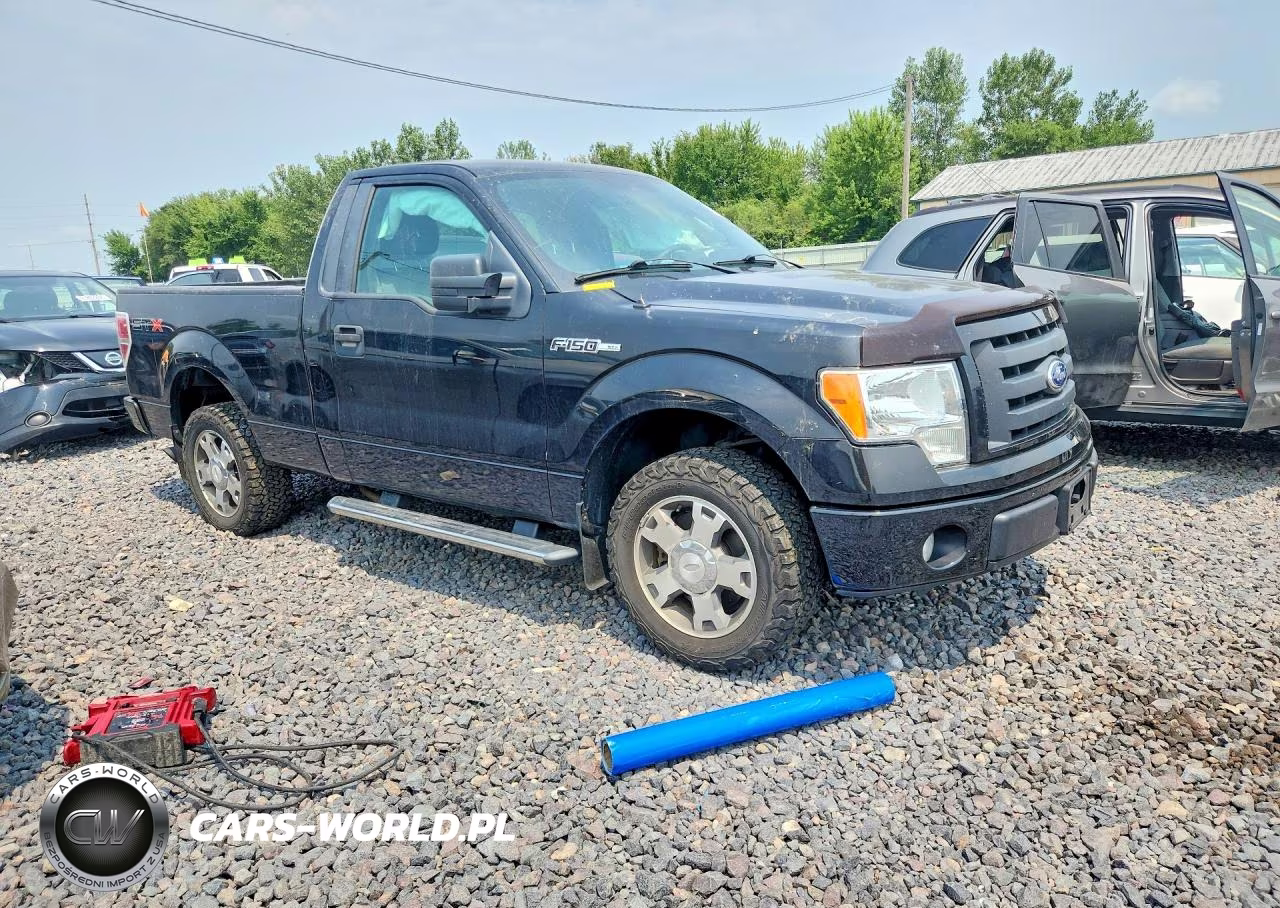 2010 Ford F150 VIN:1FTMF1CW3AFC46920 - 4