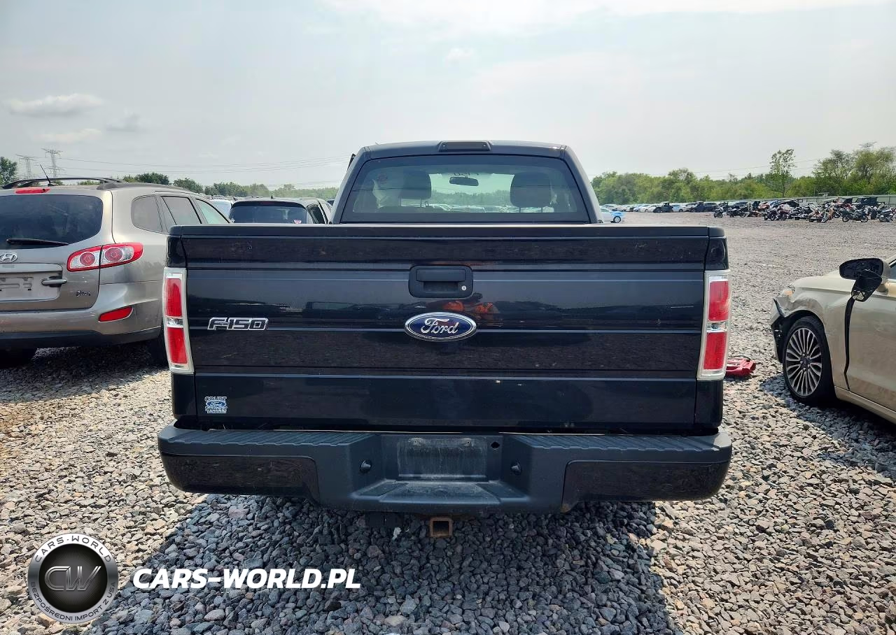 2010 Ford F150 VIN:1FTMF1CW3AFC46920 - 6