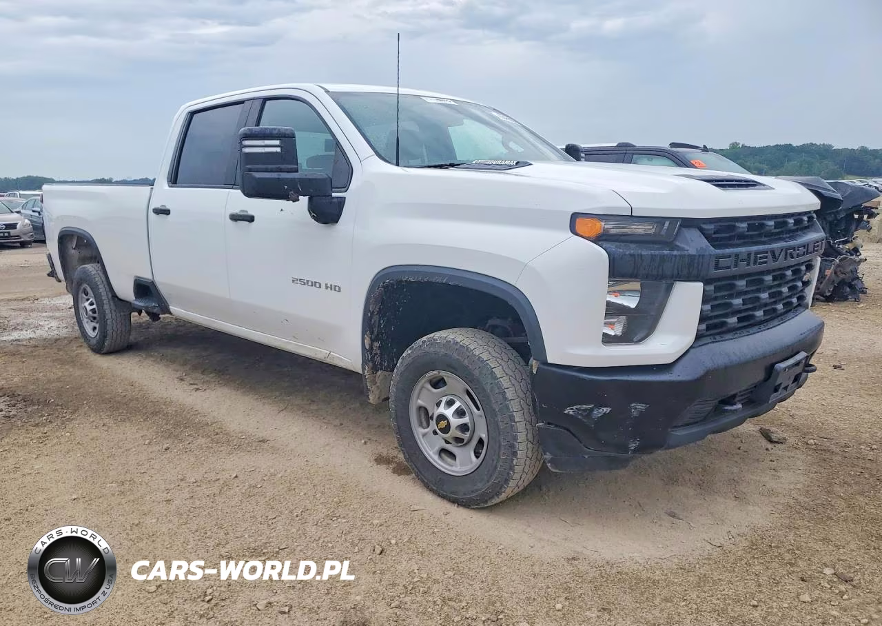 2020 Chevrolet Silverado C2500 Heavy Duty VIN:1GC4WLEY5LF324899 - 4