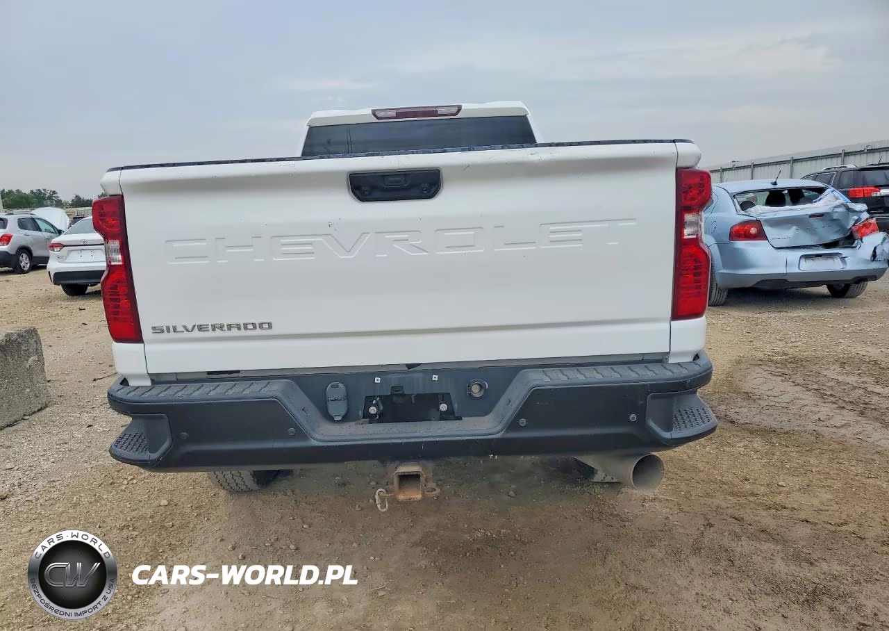 2020 Chevrolet Silverado C2500 Heavy Duty VIN:1GC4WLEY5LF324899 - 6