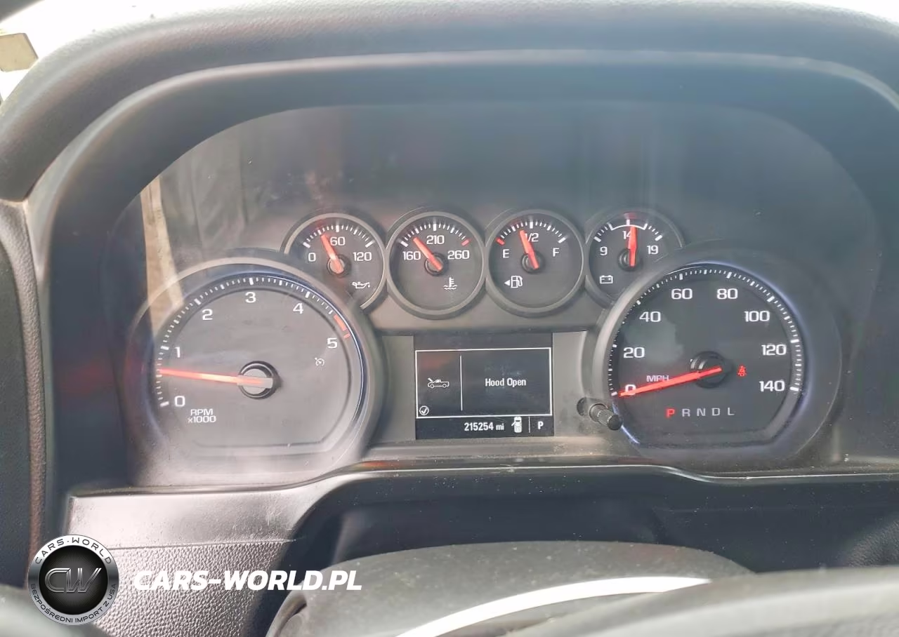 2020 Chevrolet Silverado C2500 Heavy Duty VIN:1GC4WLEY5LF324899 - 9