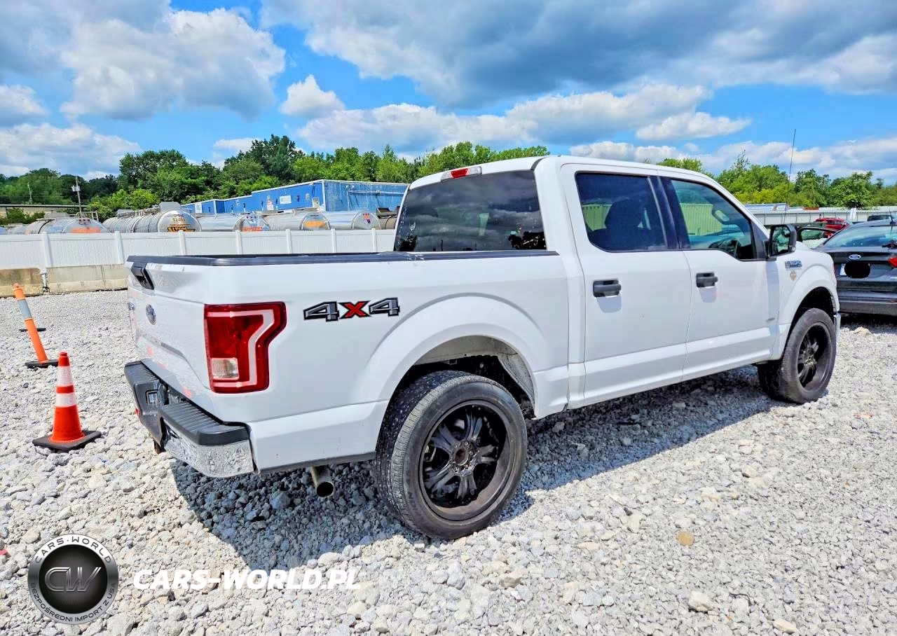2017 Ford F150 Supercrew VIN:1FTEW1EG6HKE39753 - 3