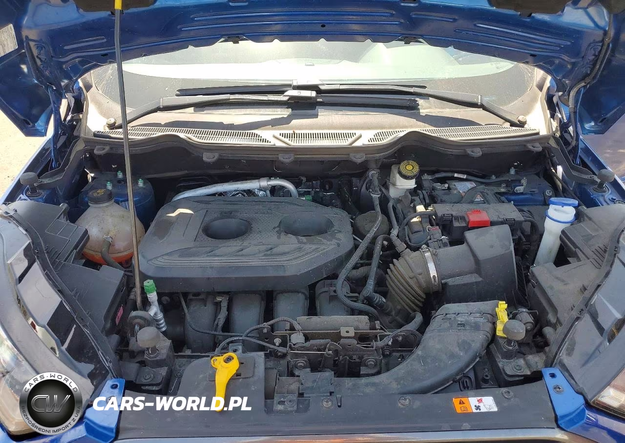 2018 Ford Ecosport Ses VIN:MAJ6P1CL8JC158531 - 12
