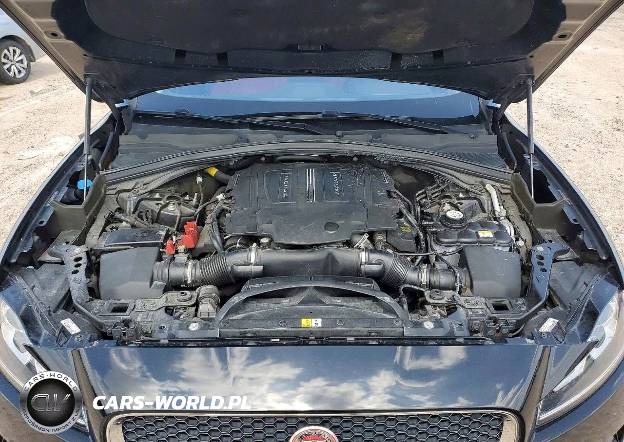 2017 Jaguar F-Pace VIN:SADCS2BVXHA496429 - 12