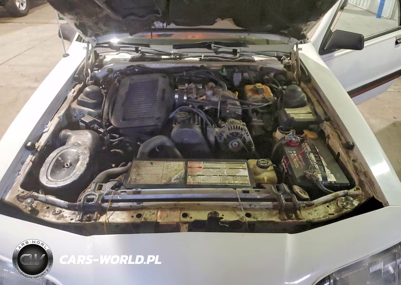 1988 Ford Thunderbird VIN:1FABP64T6JH107459 - 11
