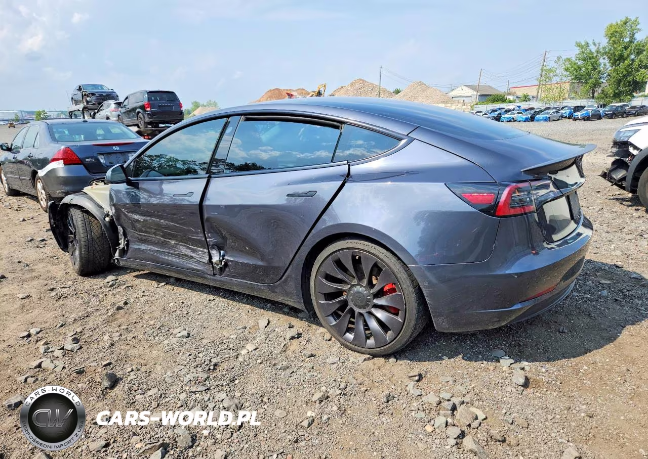 2021 Tesla Model 3 VIN:5YJ3E1EC3MF064810 - 2