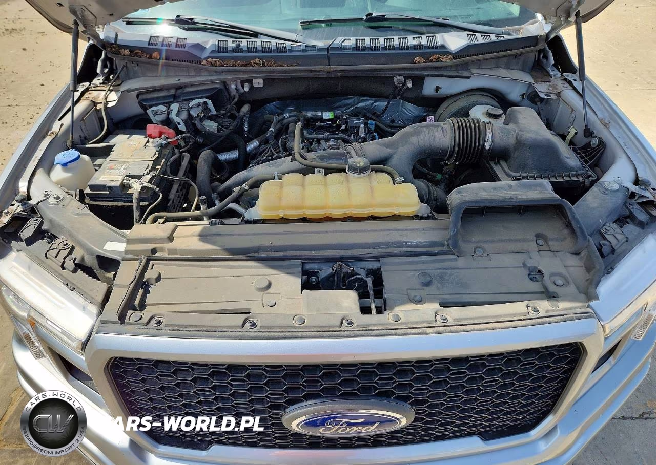 2020 Ford F150 Supercrew VIN:1FTEW1CP7LKD88906 - 11