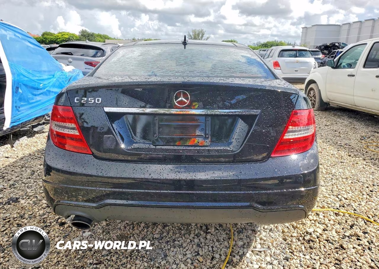 2013 Mercedes-Benz C 250 VIN:WDDGJ4HB7DG031810 - 6