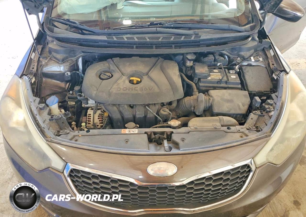 2014 Kia Forte Lx VIN:KNAFX4A68E5060339 - 11