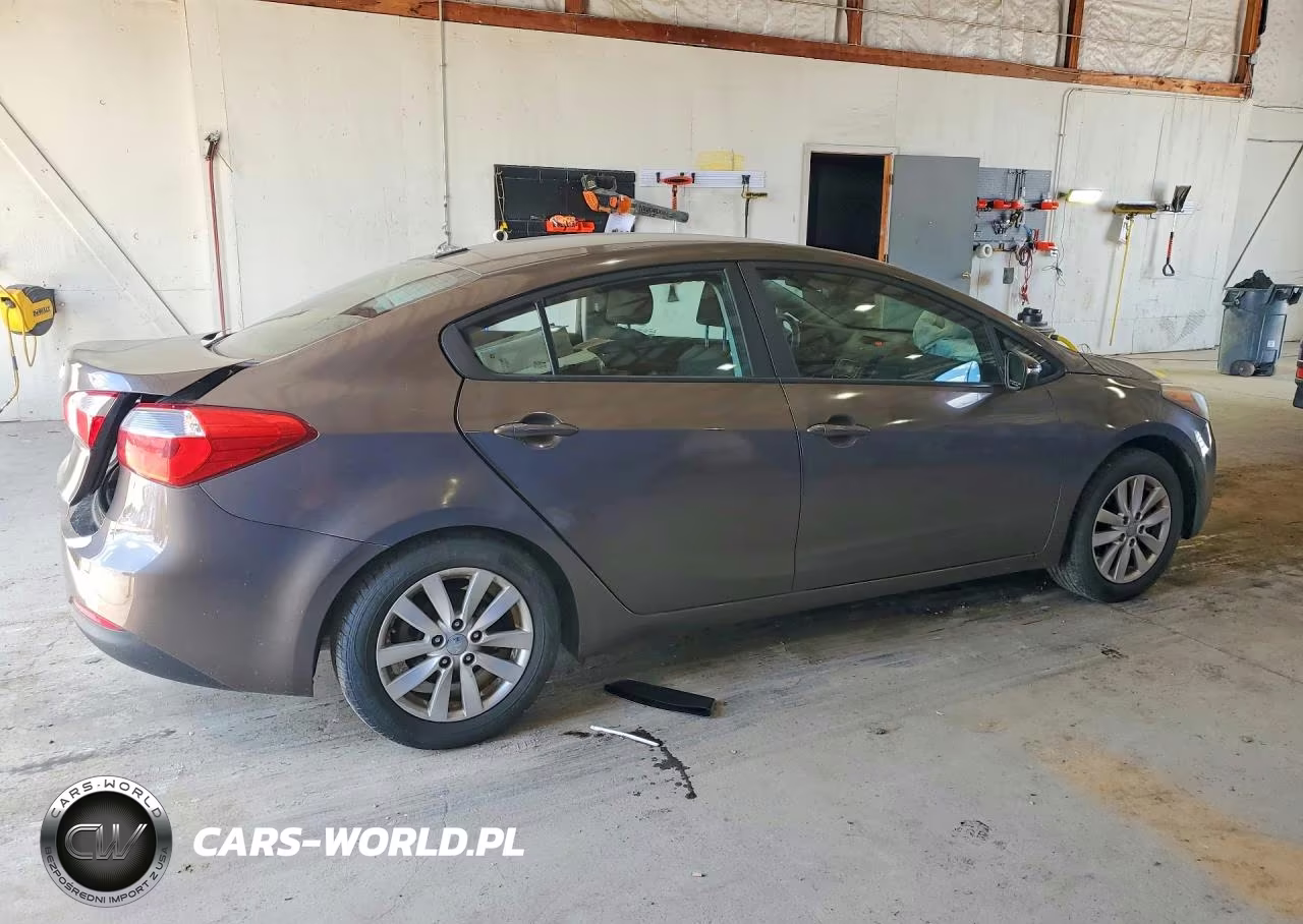 2014 Kia Forte Lx VIN:KNAFX4A68E5060339 - 3