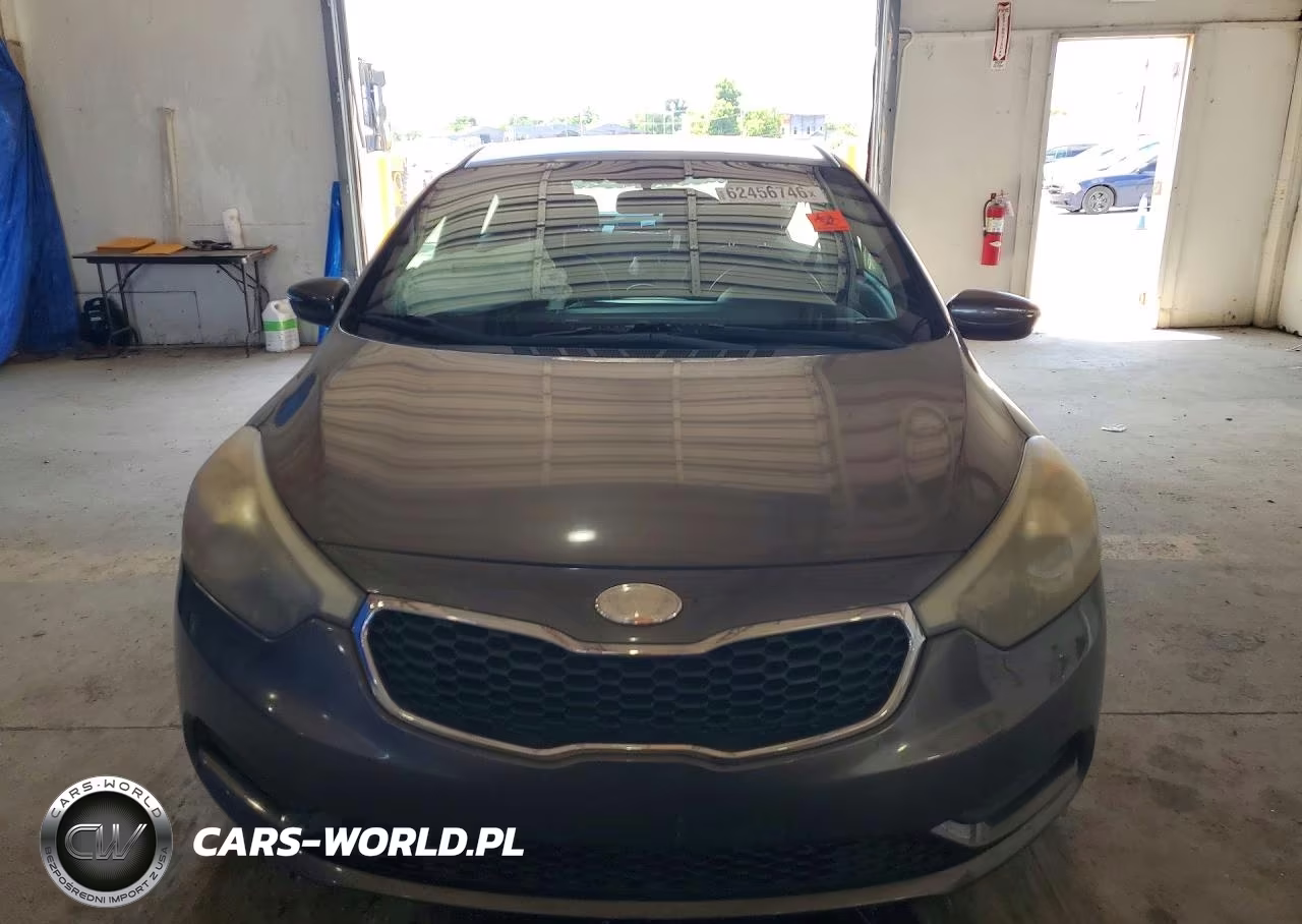 2014 Kia Forte Lx VIN:KNAFX4A68E5060339 - 5