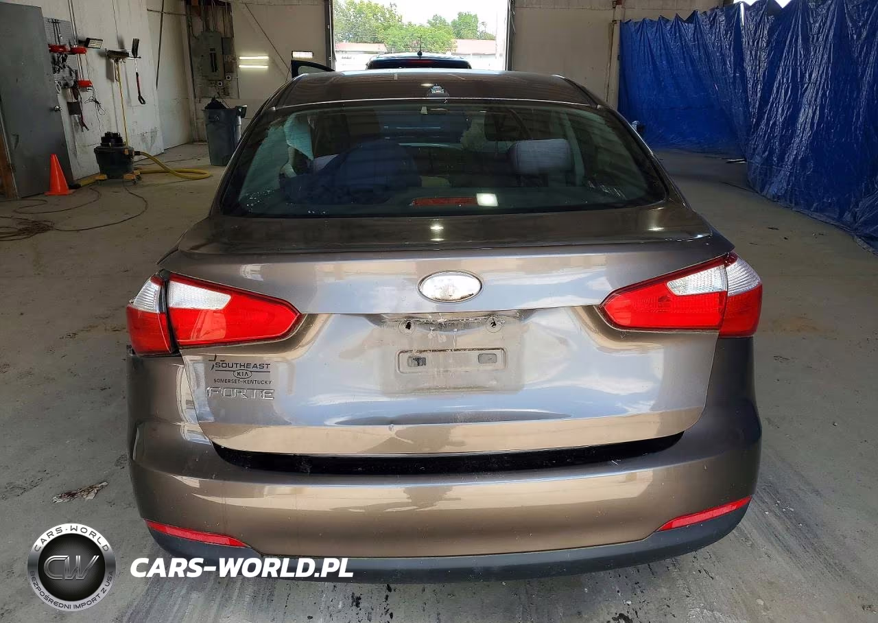 2014 Kia Forte Lx VIN:KNAFX4A68E5060339 - 6