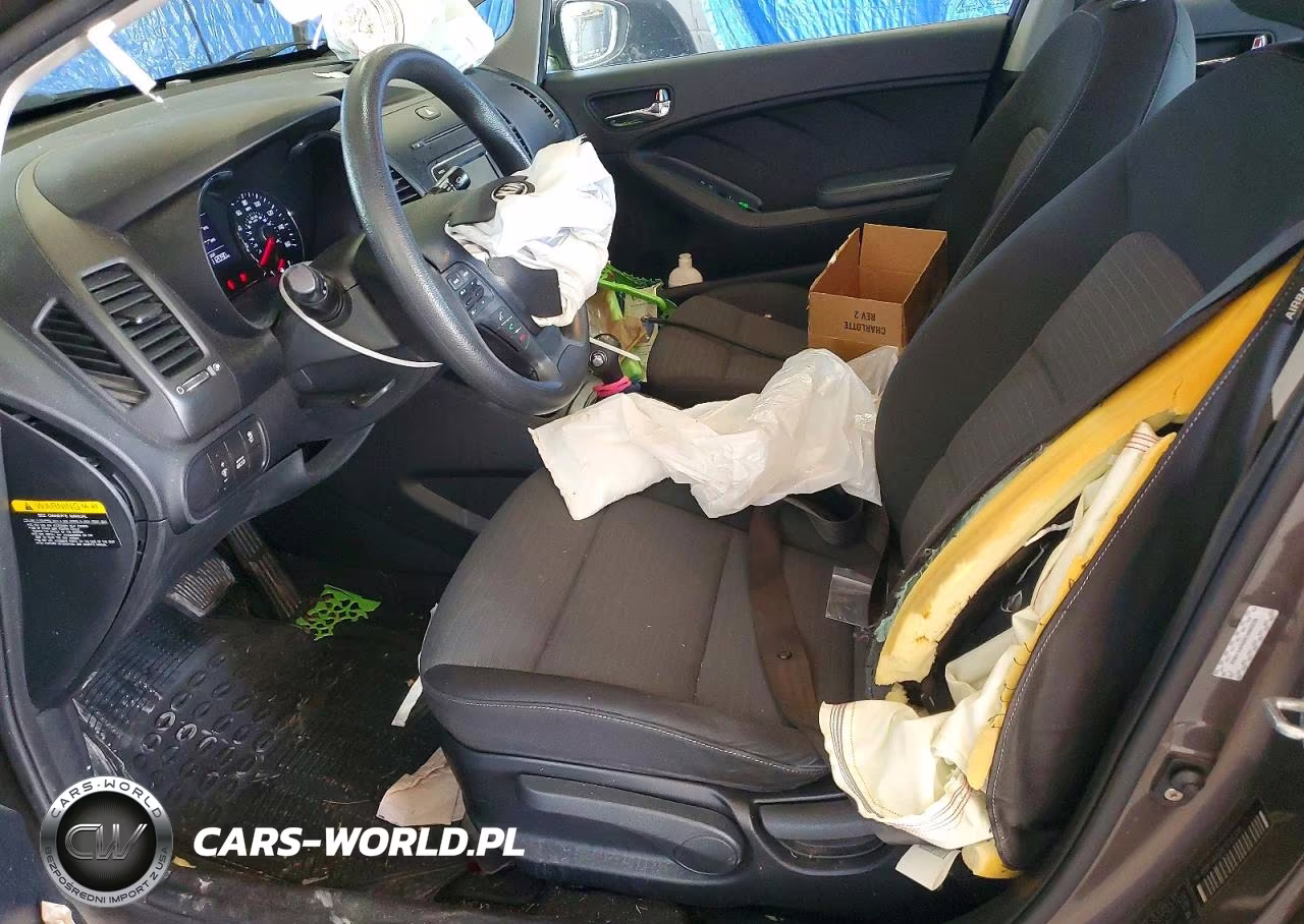 2014 Kia Forte Lx VIN:KNAFX4A68E5060339 - 7