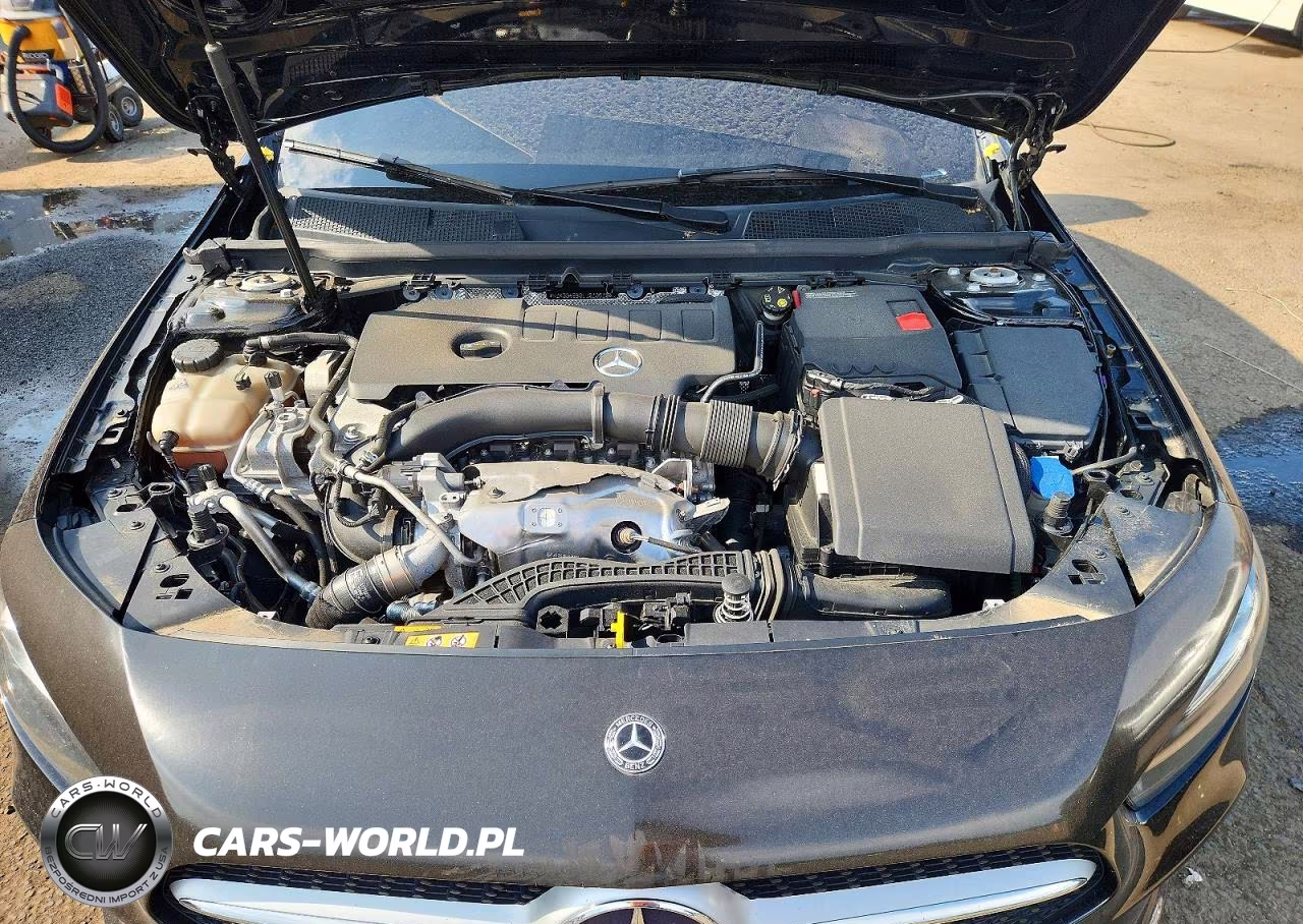 2020 Mercedes-Benz A 220 VIN:W1K3G4EB9LJ219019 - 11