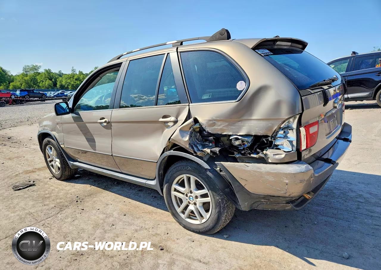 2005 BMW X5 3.0I VIN:5UXFA13585LY10162 - 2