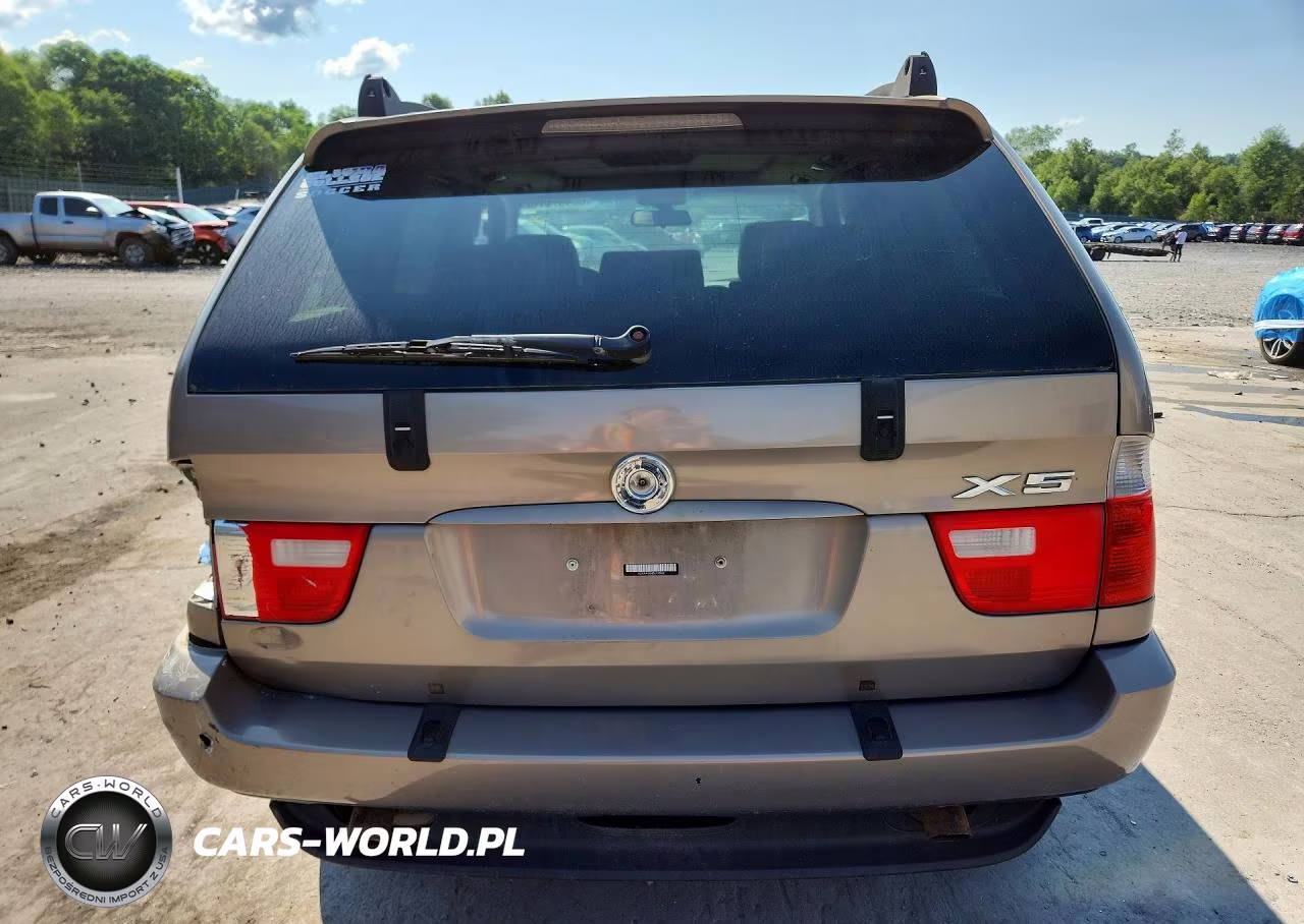 2005 BMW X5 3.0I VIN:5UXFA13585LY10162 - 6