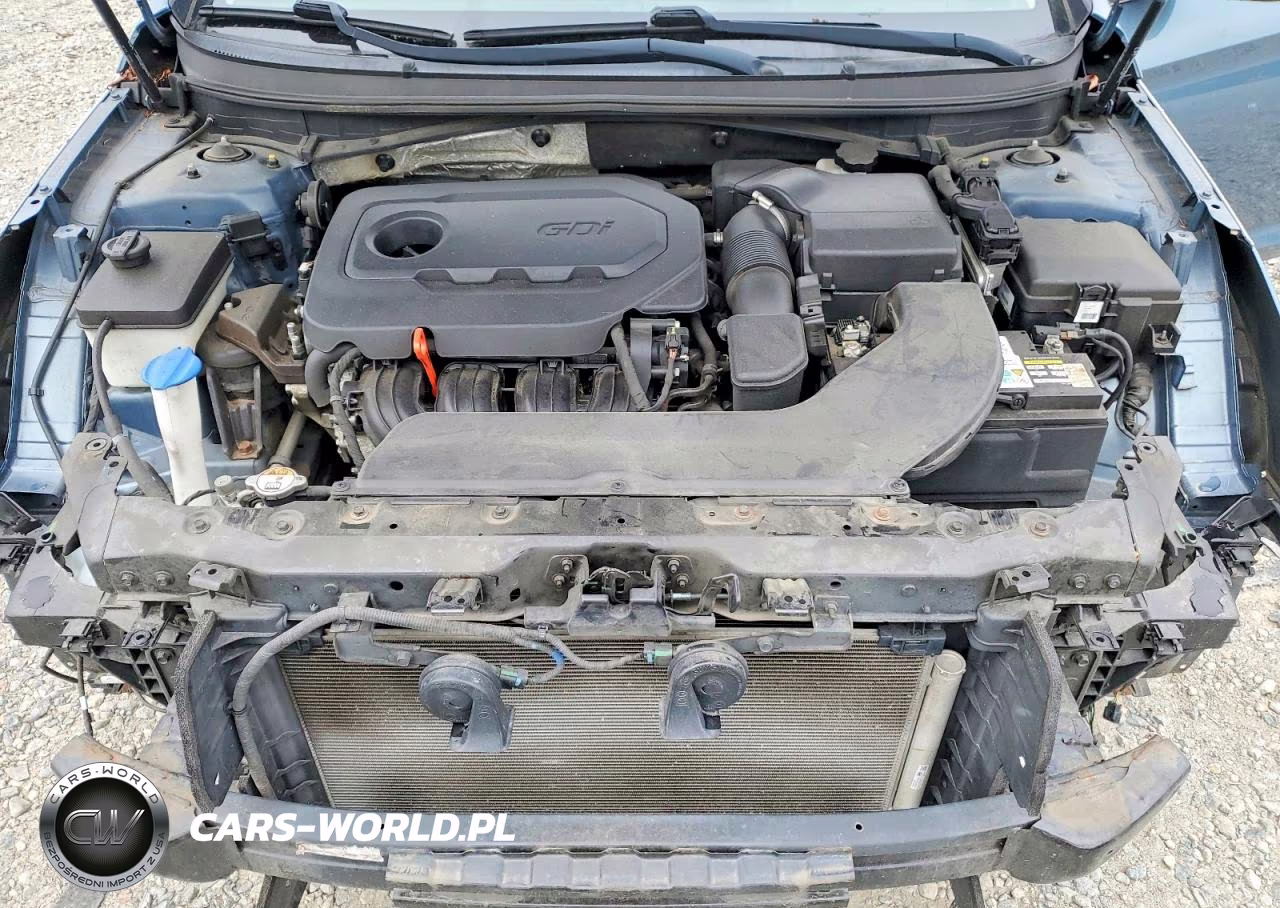 2015 Hyundai Sonata Se VIN:5NPE24AF3FH232016 - 11
