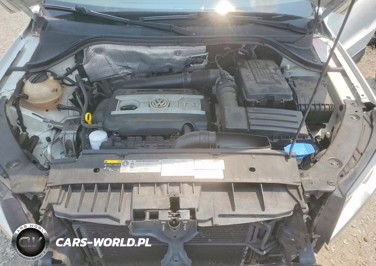 2017 Volkswagen Tiguan Wolfsburg VIN:WVGSV7AX4HW510810 - 12
