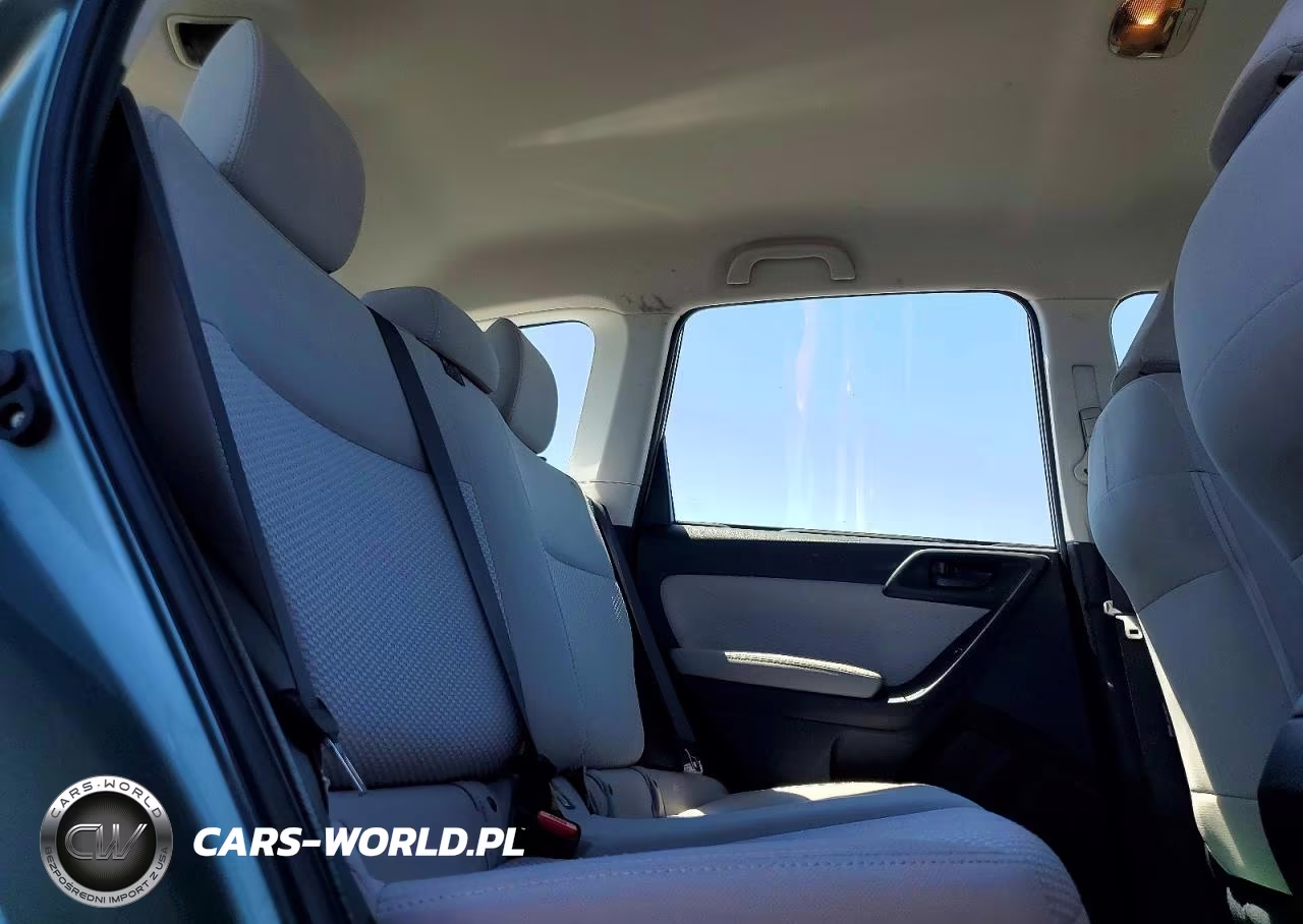 2017 Subaru Forester 2.5I VIN:JF2SJABC9HH477513 - 10