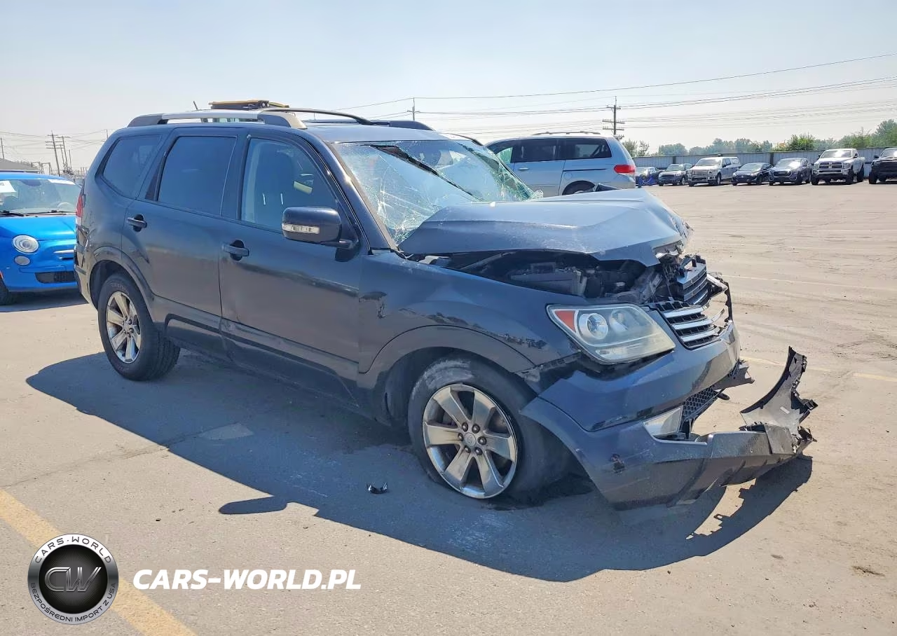 2009 Kia Borrego Lx VIN:KNDJJ741X95023153 - 4