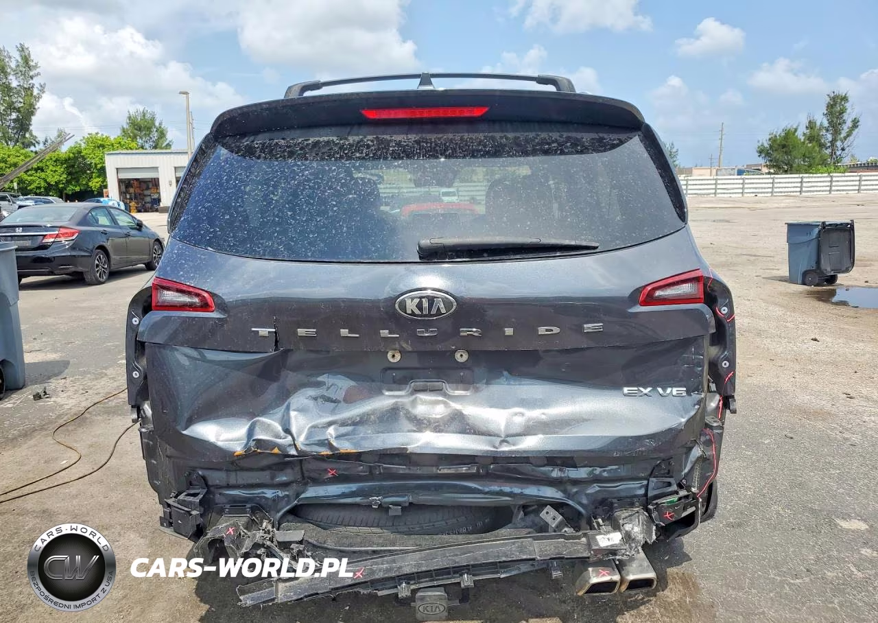 2021 Kia Telluride Ex VIN:5XYP34HC0MG182455 - 6