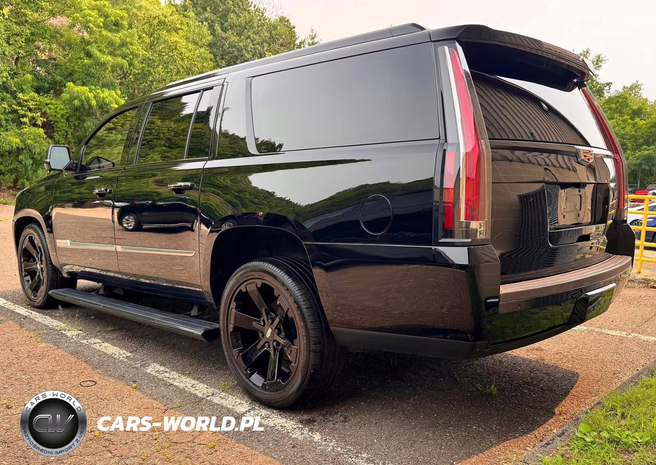 2018 Cadillac Escalade Esv Platinum VIN:1GYS4KKJ3JR396298 - 3