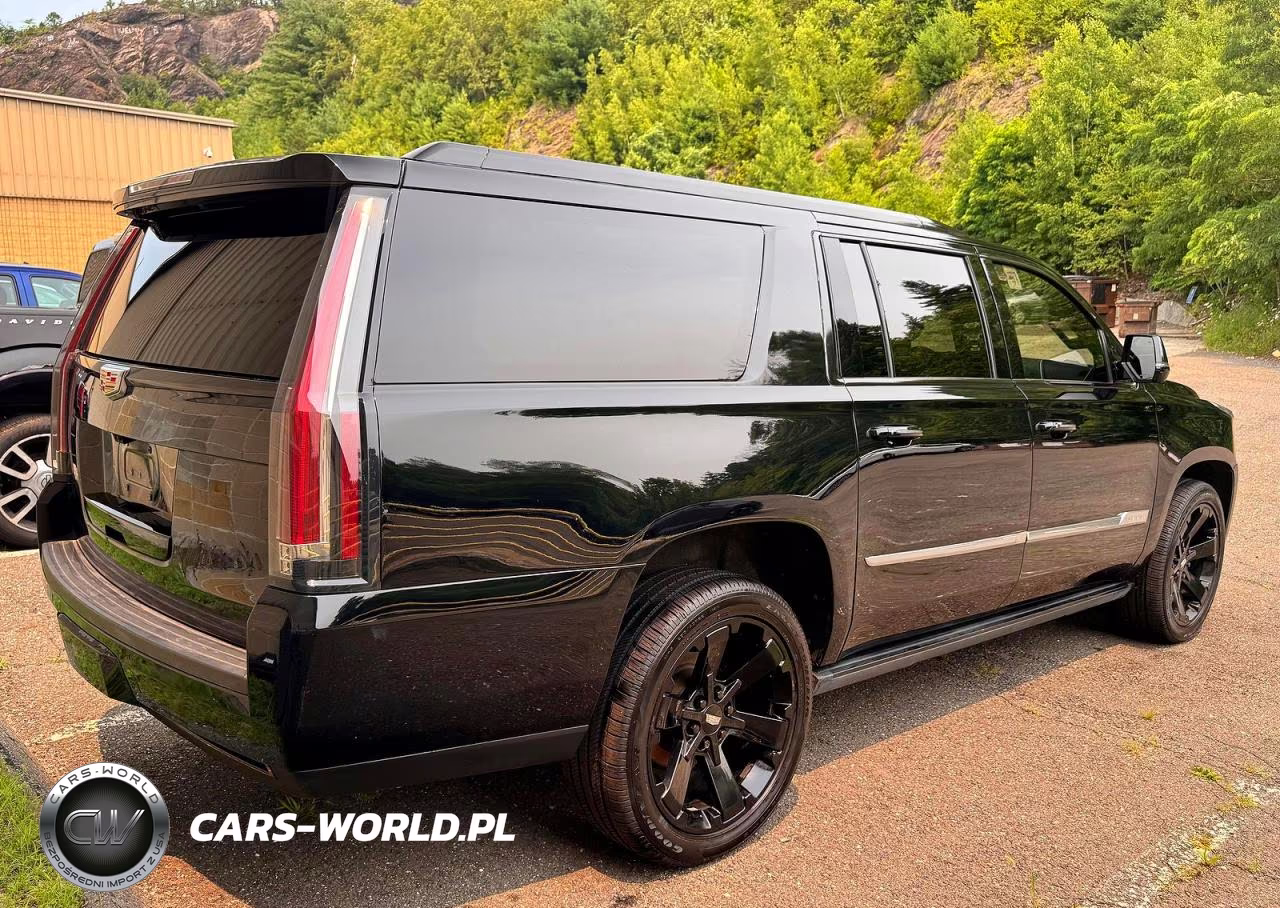 2018 Cadillac Escalade Esv Platinum VIN:1GYS4KKJ3JR396298 - 4