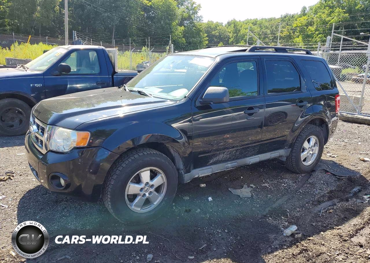 2010 Ford Escape Xlt
