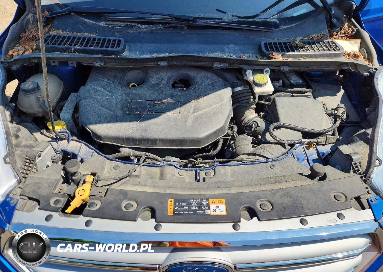 2018 Ford Escape Sel VIN:1FMCU9H91JUB63402 - 12