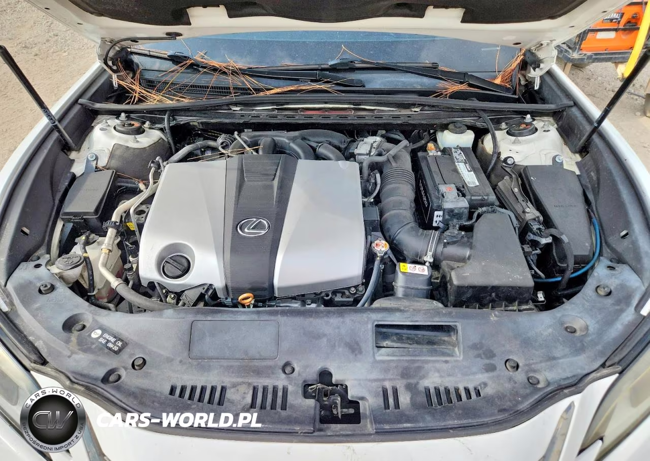 2019 Lexus Es 350 VIN:58ABZ1B16KU039945 - 11