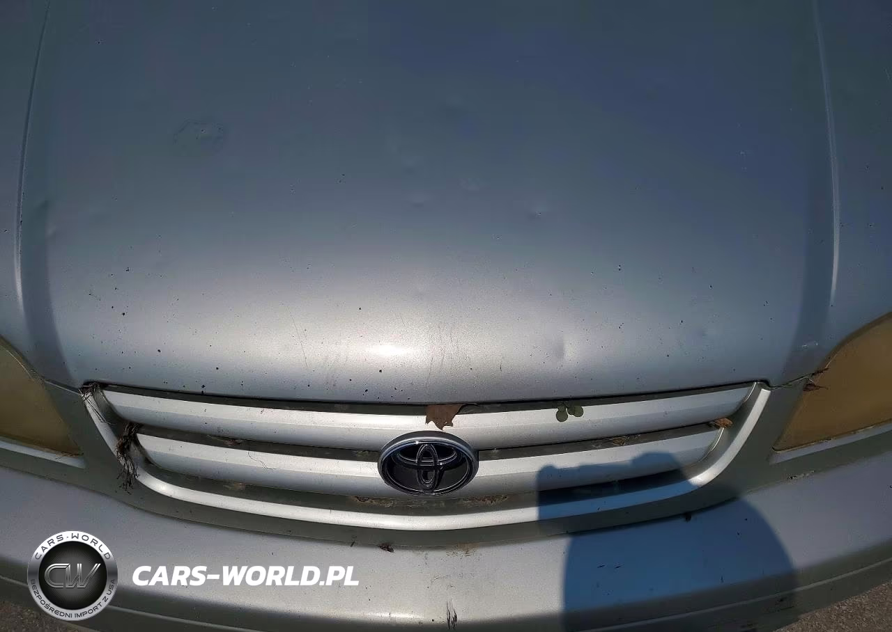 2003 Toyota Sienna Le VIN:4T3ZF13C83U552959 - 12