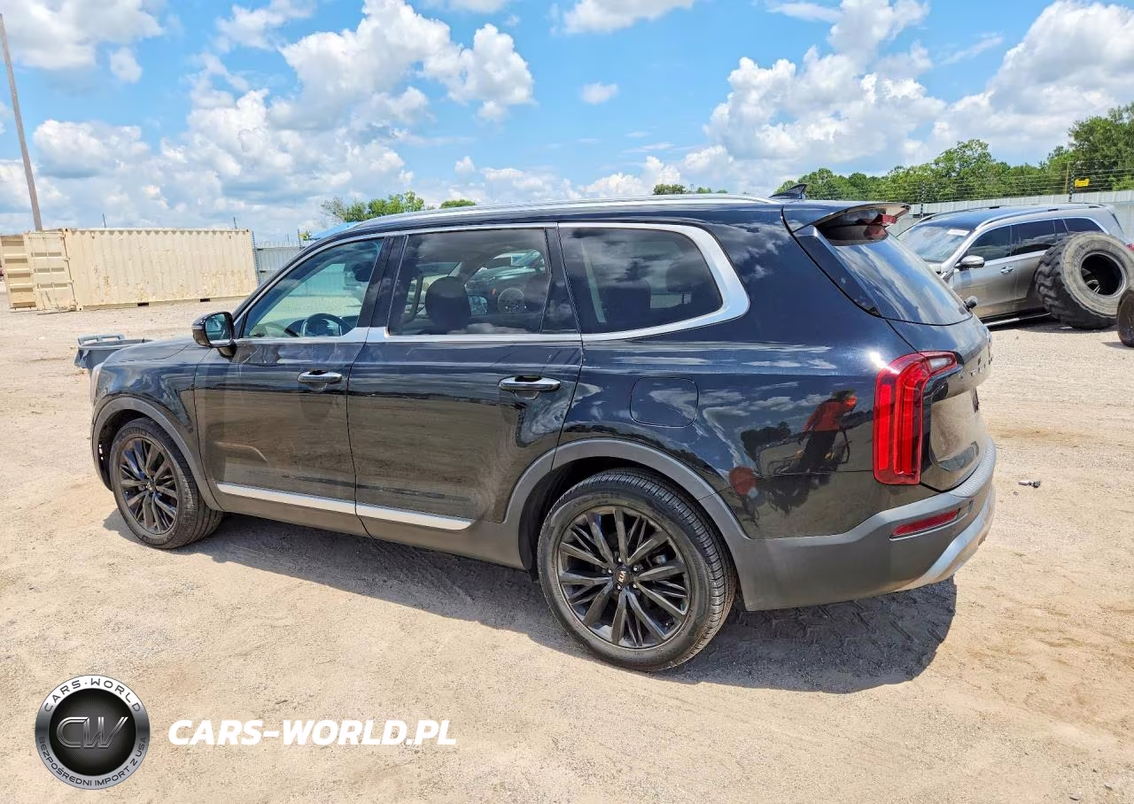 2020 Kia Telluride Sx VIN:5XYP54HC6LG084040 - 2