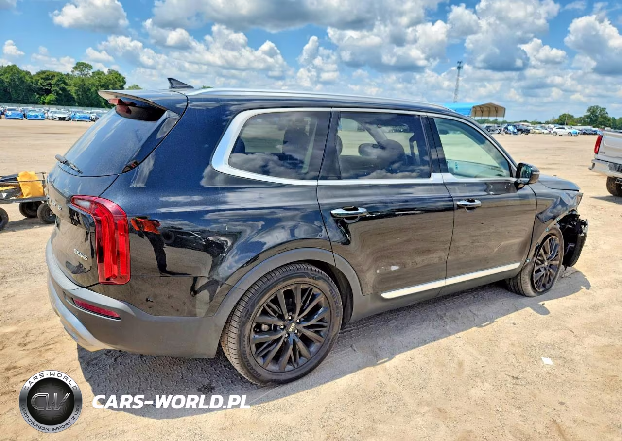 2020 Kia Telluride Sx VIN:5XYP54HC6LG084040 - 3