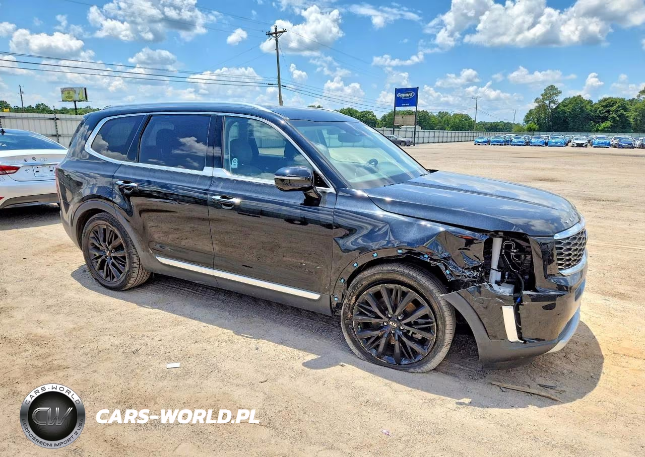 2020 Kia Telluride Sx VIN:5XYP54HC6LG084040 - 4