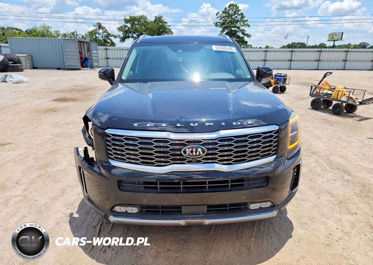 2020 Kia Telluride Sx VIN:5XYP54HC6LG084040 - 5