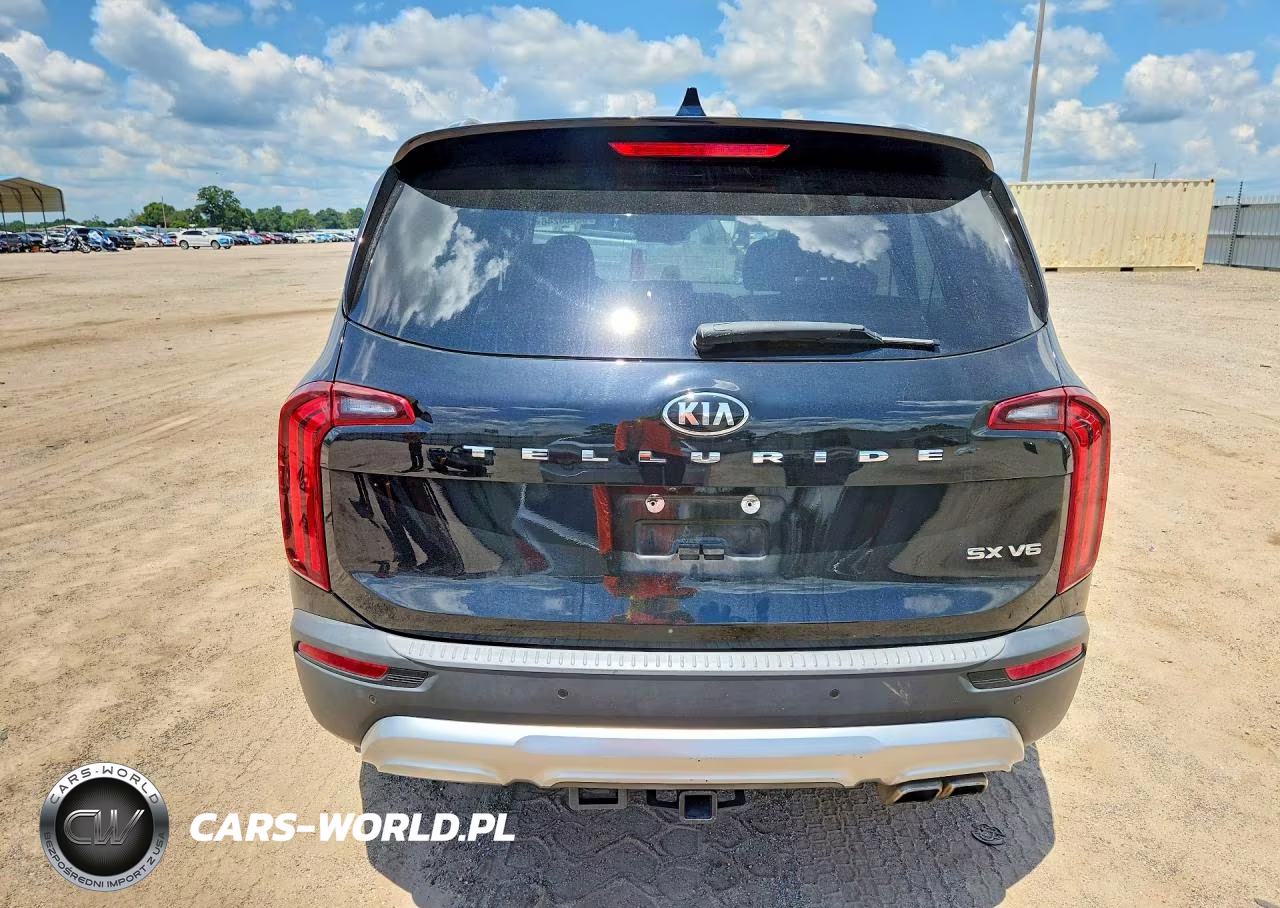 2020 Kia Telluride Sx VIN:5XYP54HC6LG084040 - 6