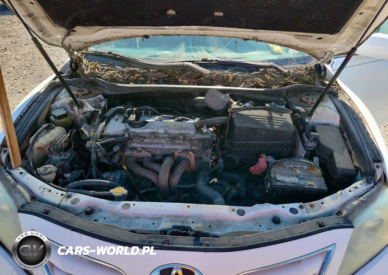2010 Toyota Camry Le VIN:4T1BF3EK4AU564873 - 11