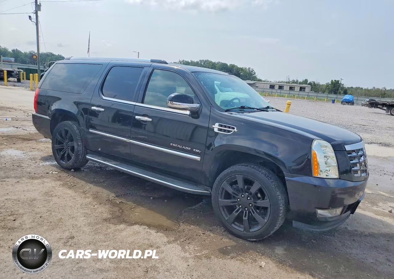 2013 Cadillac Escalade Esv Luxury VIN:1GYS4HEF0DR110230 - 4