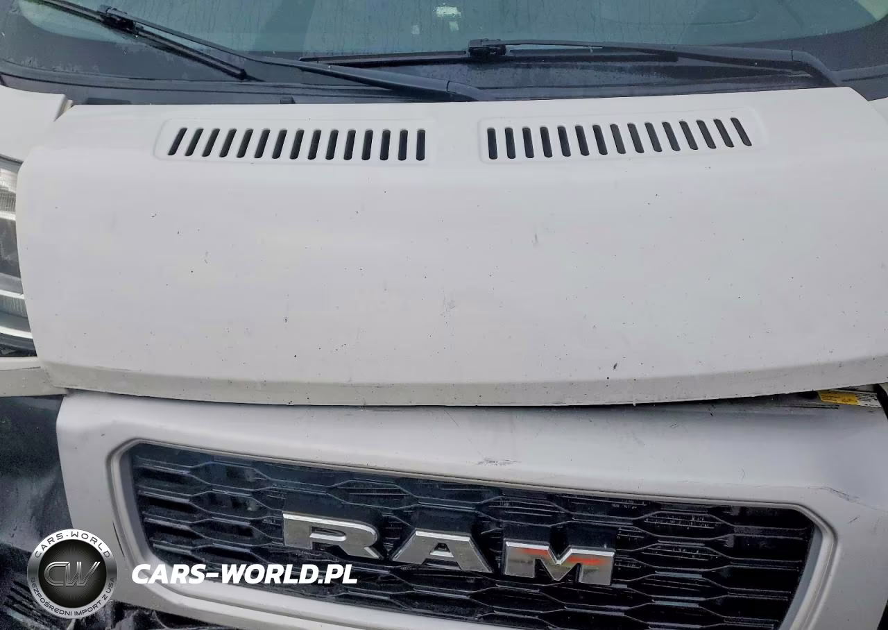 2020 Ram Promaster 3500 Delivery Van VIN:3C6URVJG2LE102032 - 11
