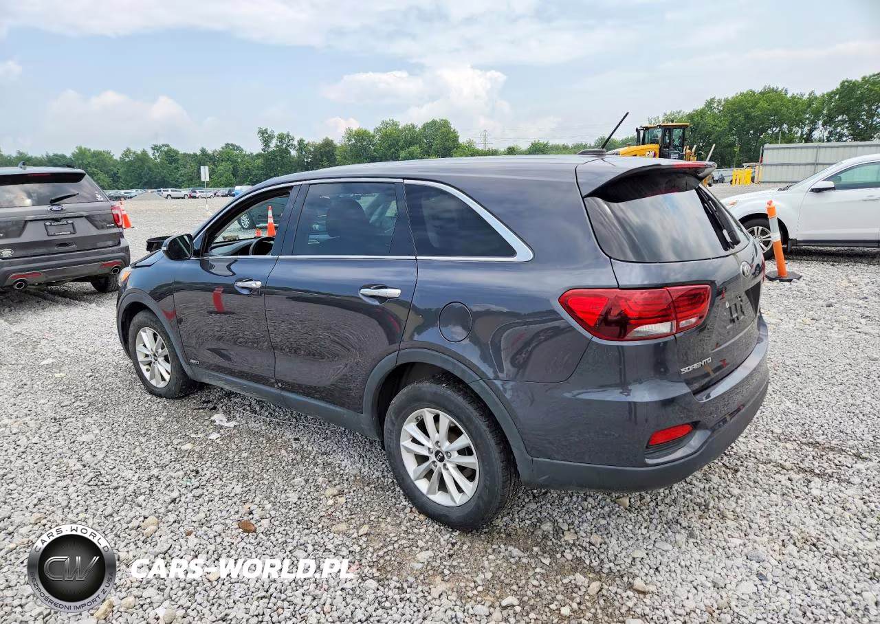 2019 Kia Sorento Lx VIN:5XYPGDA31KG439960 - 2