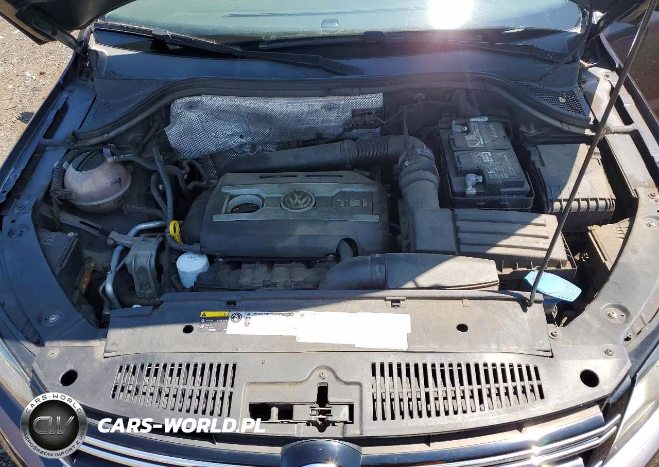 2016 Volkswagen Tiguan S VIN:WVGBV7AX9GW566059 - 12