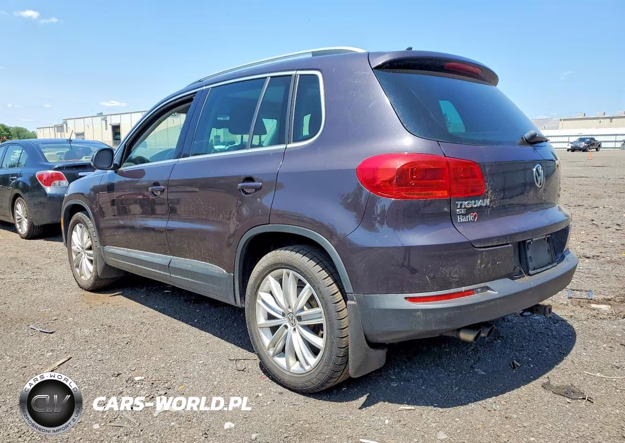 2016 Volkswagen Tiguan S VIN:WVGBV7AX9GW566059 - 2