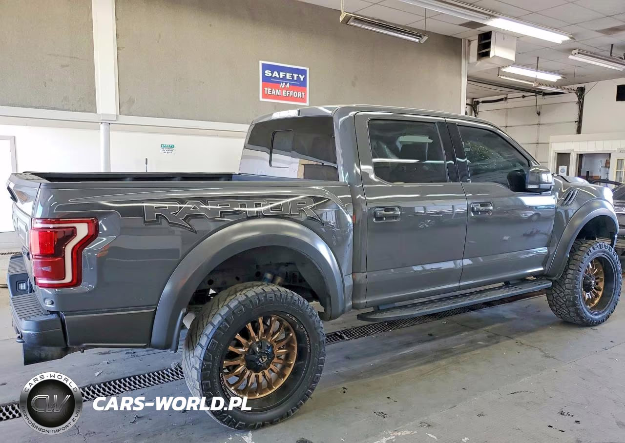 2018 Ford F150 Raptor VIN:1FTFW1RG0JFC35432 - 3