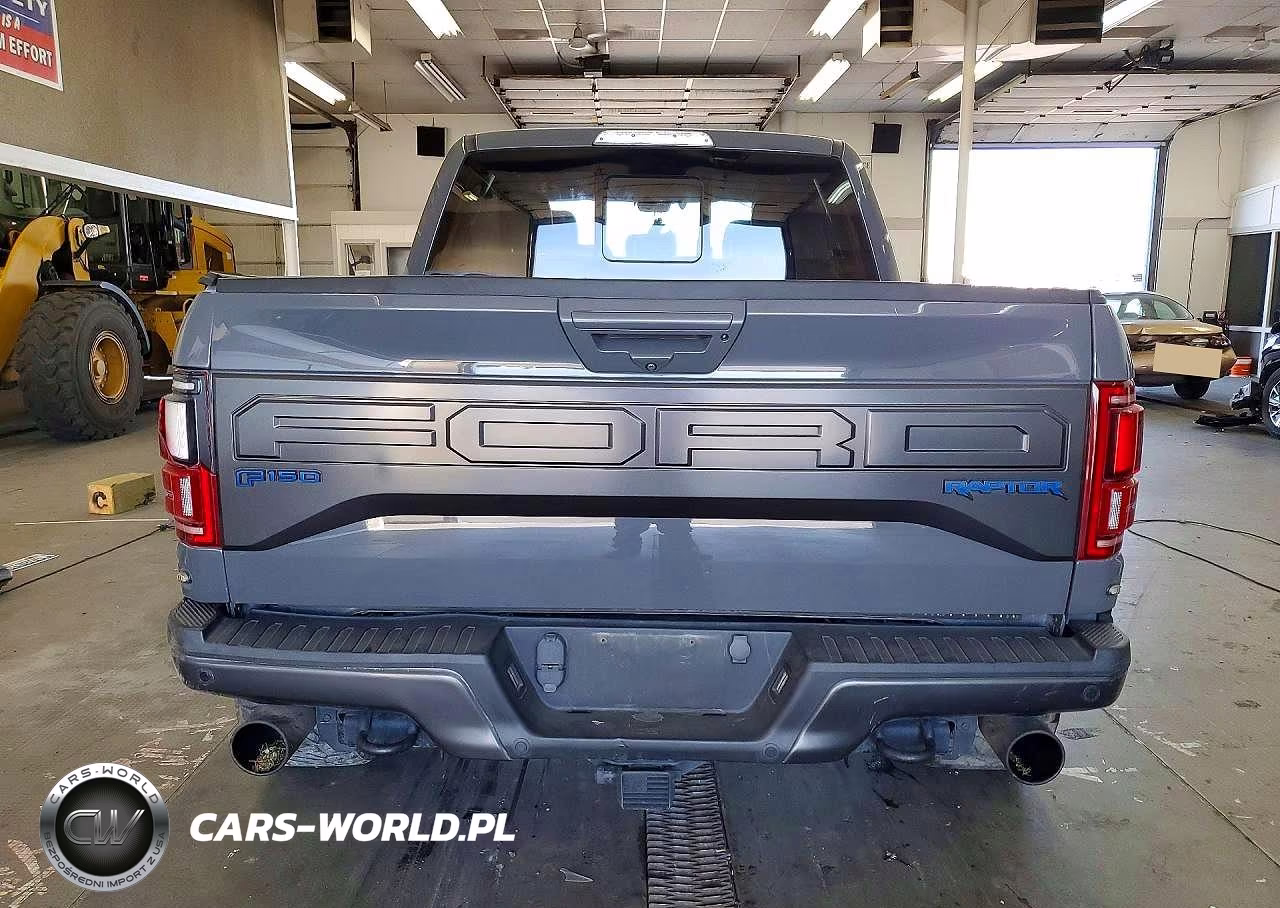2018 Ford F150 Raptor VIN:1FTFW1RG0JFC35432 - 6