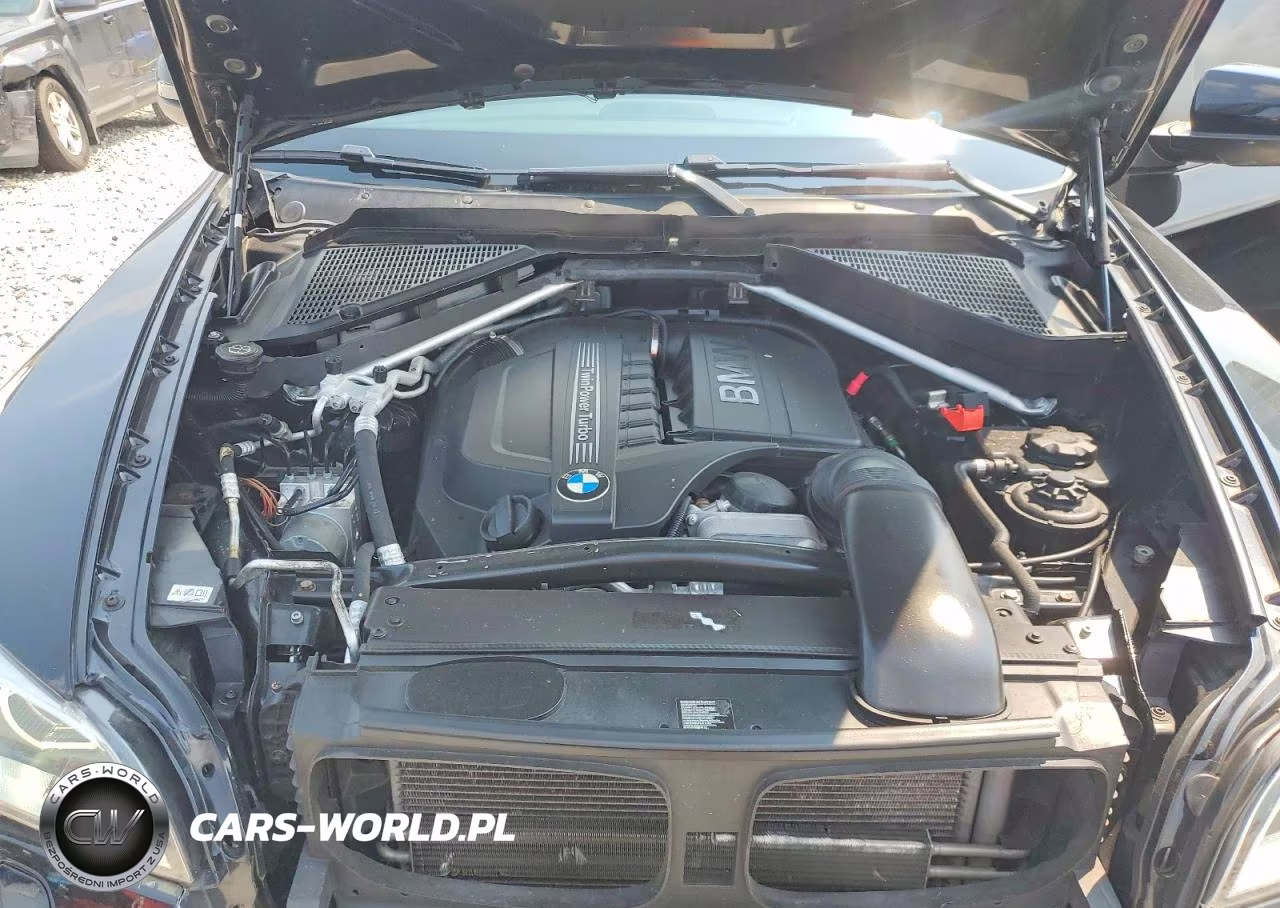 2013 BMW X6 xDrive35I VIN:5UXFG2C52DL787982 - 12