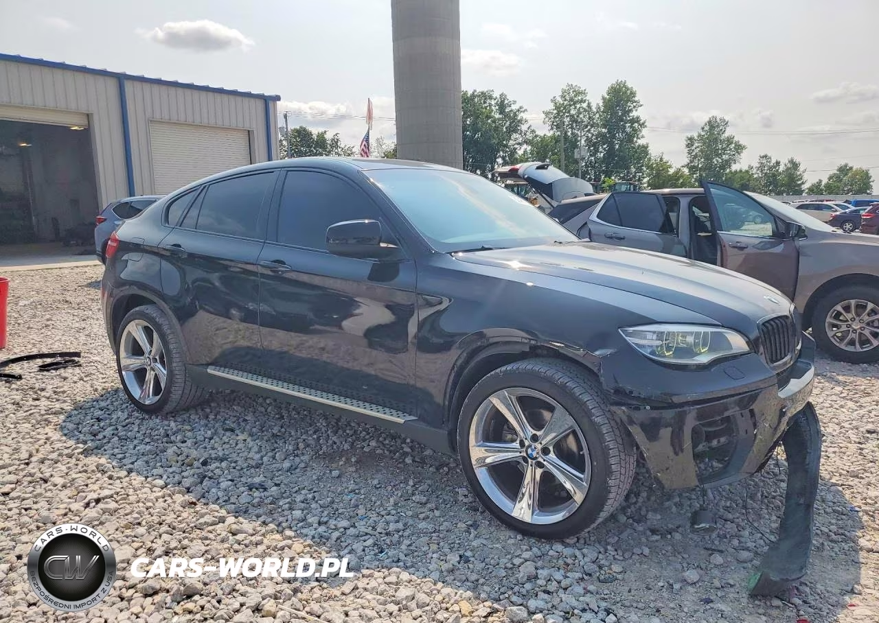 2013 BMW X6 xDrive35I VIN:5UXFG2C52DL787982 - 4